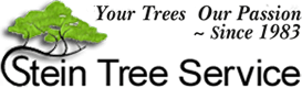 Stein Tree Service