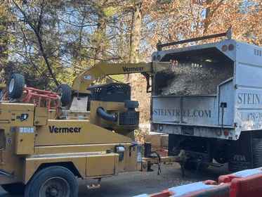 tree chipper - tree care in Wilmington DE - Stein Tree Service