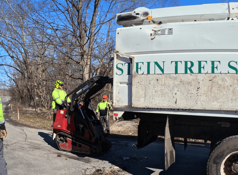 specialist loading into chipper - tree care in Wilmington DE- Stein Tree Service