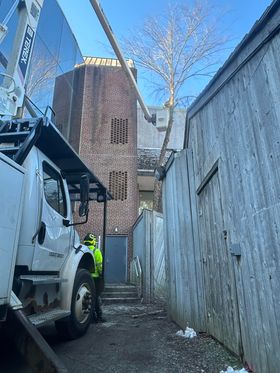 tree removal from a tight space - tree care in Wilmington DE - Stein Tree Service